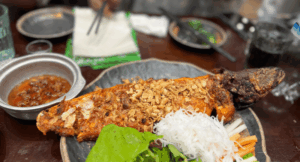 20251020ベトナム人材面接弾丸出張記 〜女性パワーと熱意に触れて〜｜熊本県GMT協同組合